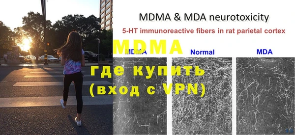 спайс Чекалин