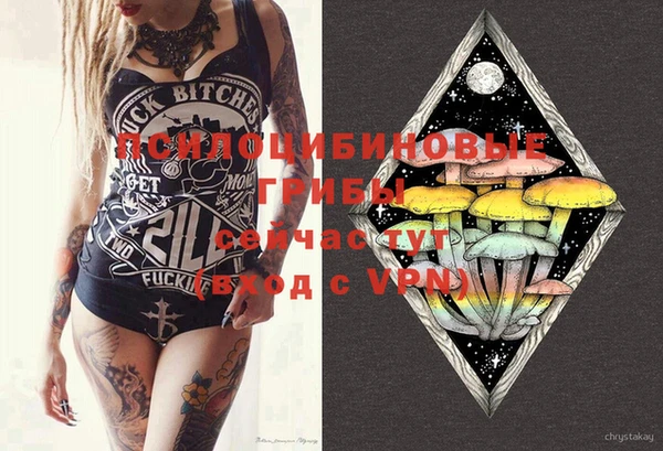 спайс Чекалин